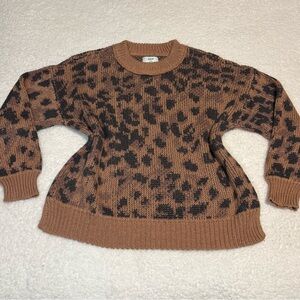 Aerie Women Leopard Print Cozy and Soft Chunky Knit Crewneck Sweater